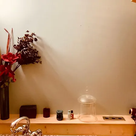 Belle Avec Sauna Dans Quartier Calme *