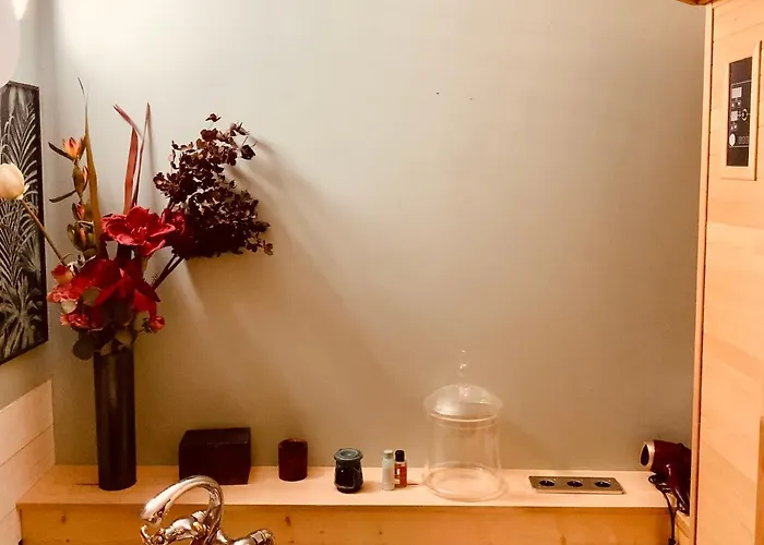 Belle En Rez De Chaussée Avec Sauna Dans Quartier Calme *